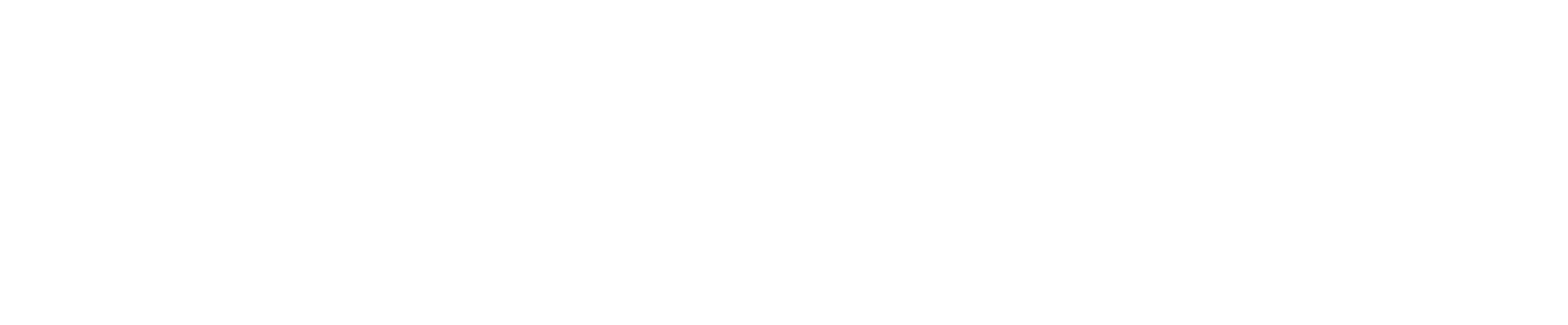 LoanOptions.ai